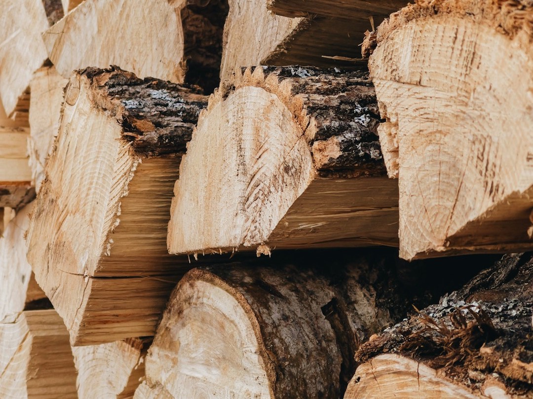 Stack of split hardwood logs for wood burning stoves